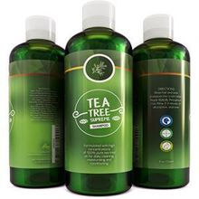 Honeydew Sulfate Free Tea Tree Shampoo Dandruff Treatment for Women &amp; Men with Pure Rosemary + Jojoba Oils - Healthy Scalp Cleanser for Colored Dry + Oily + Thick + Fine Natural Hair Care for Silky Soft HairHoneydew