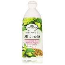 L&#039;Angelica Officinalis Shampoo Fortyfing with Hop and Millet seeds * 250ml - 8.45fl.oz * [ Italian Import ]L&#039;Angelica