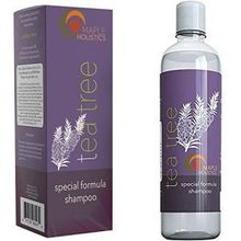 Maple HolisticsTea Tree Shampoo for Moderate Dandruff with Argan, Jojoba and Organic Lavender- 100% Natural, Sulfate Free Treatment for Men and WomenMaple Holistics