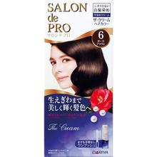 DARIYA Salon De Pro Bubble Hair Color, No. 6 Dark Brown 50g+50g, for White HairDARIYA