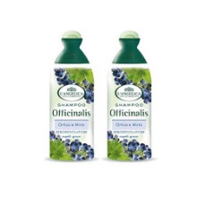 L&#039;Angelica Officinalis Shampoo with Nettle and Myrtle 250ml  * 2PackL&#039;Angelica