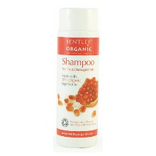 Bentley Organic Shampoo for Dry &amp; Damaged Hair 250ml x 2packBentley Organic